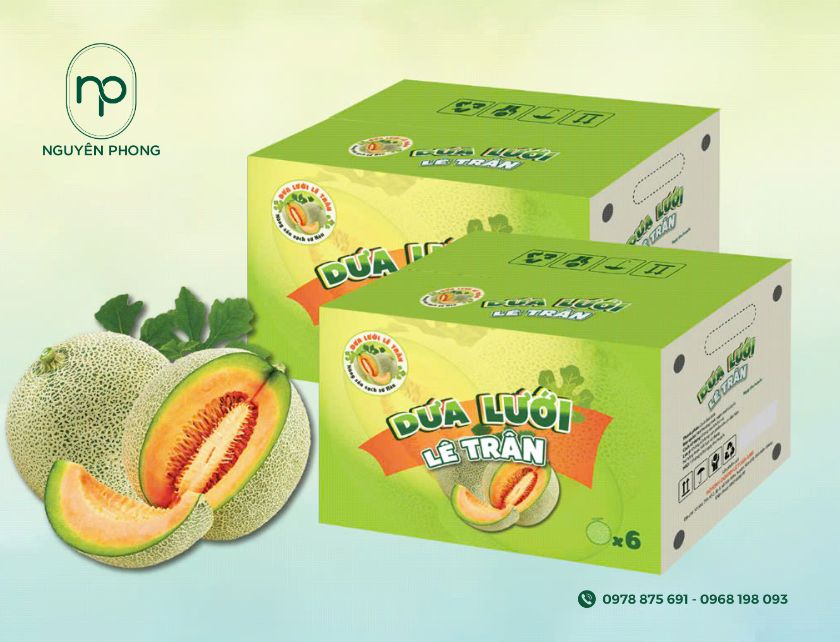 Mẫu thùng carton đựng dưa lưới
